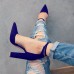 Women’s Fashion Pointed Toe High Heel Strappy Classic Sexy Thick Heel Shoes